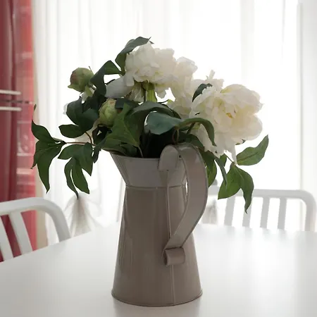 Cardinal Vatican Rom