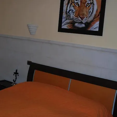 Bed & Breakfast Cardinal Vatican 3*