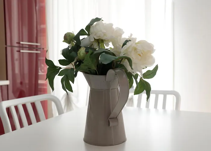 Cardinal Vatican Rome